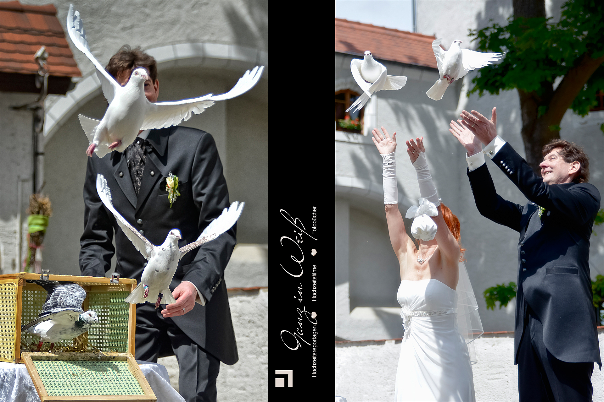 Hochzeitstauben Wurzen Grimma Fotograf - Hochzeitsfotograf