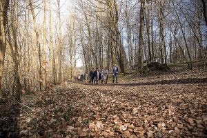 Wanderung im Frühling