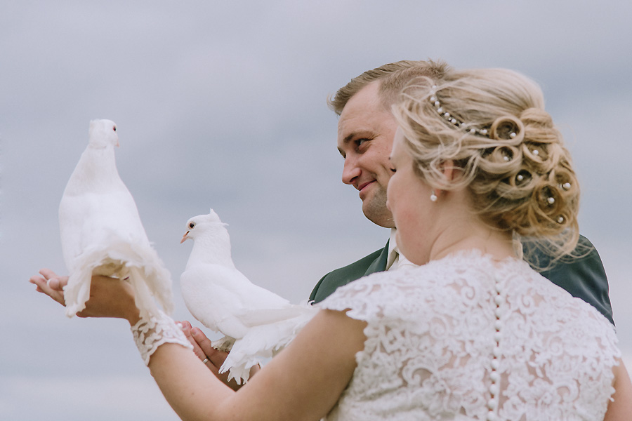 Hochzeitstauben