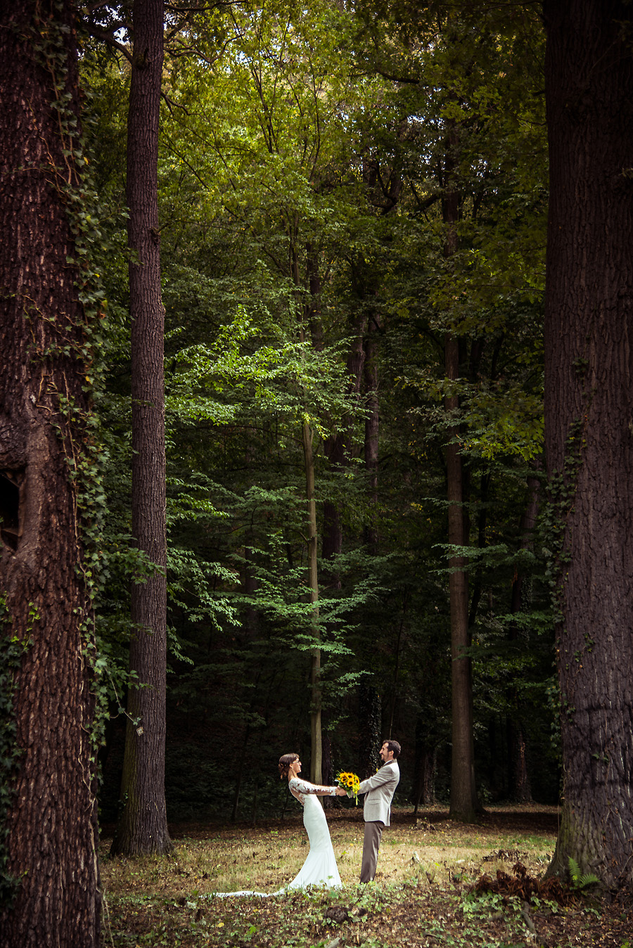 Hochzeitsfotografen in Sachsen