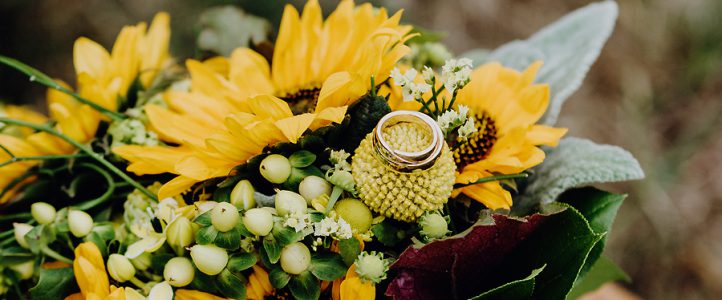 Hochzeit im Schwind Pavillon – Trauung und Brautpaarfotos