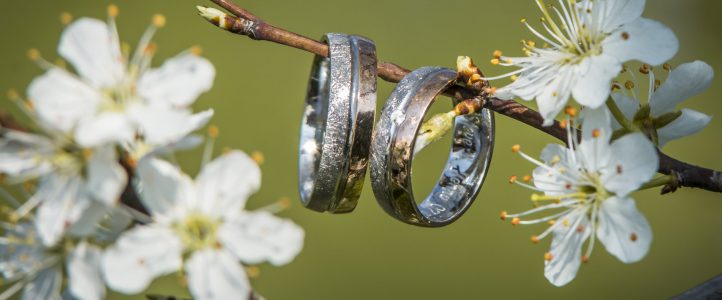 Hochzeit im Pavillon Groitzsch