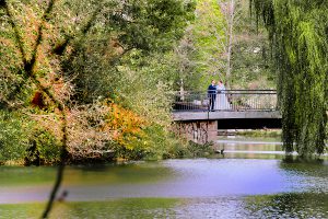 Vorschaubild Blog Novemberhochzeit in Chemnitz